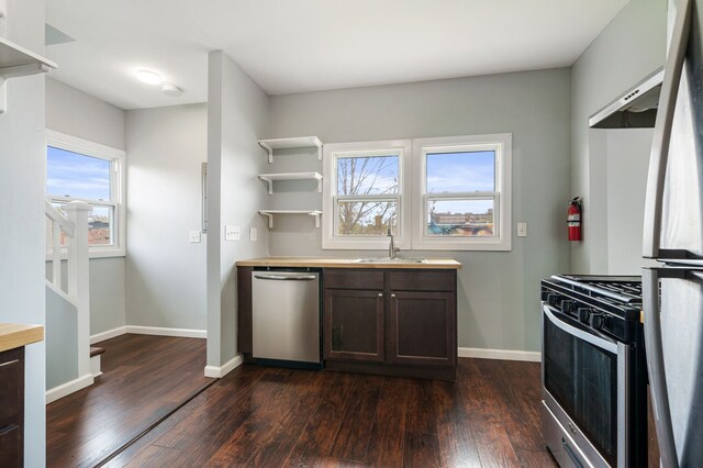 kitchen featuring stainless steel appliances, dark brown cabinets, a sink, and dark wood-type flooring