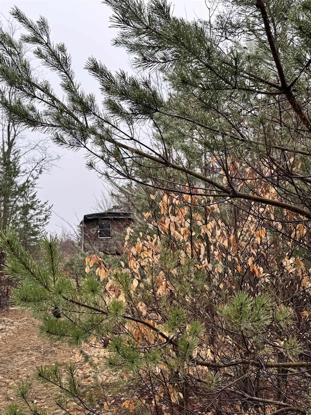 County Line Rd, Mancelona, MI 49659