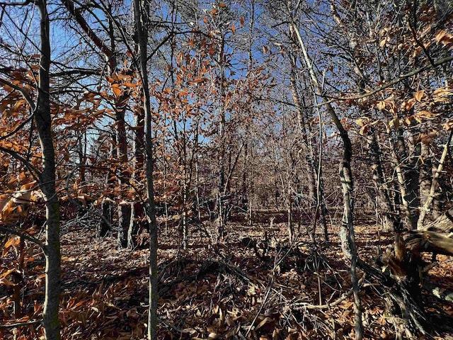 County Line Rd, Mancelona, MI 49659