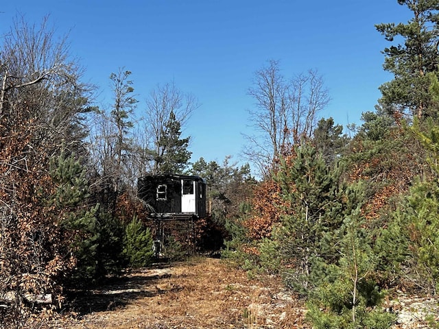 County Line Rd, Mancelona, MI 49659