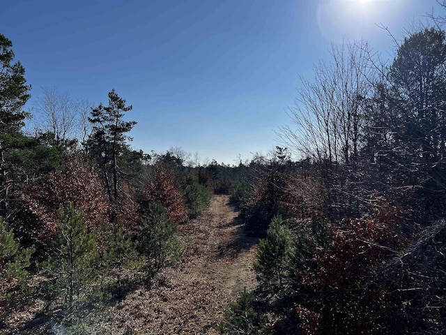 County Line Rd, Mancelona, MI 49659