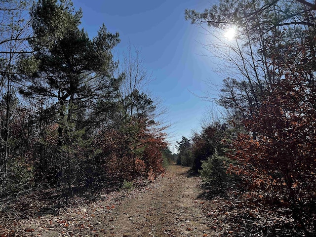 County Line Rd, Mancelona, MI 49659