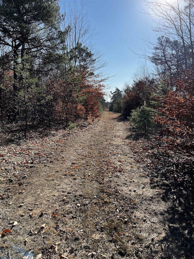 County Line Rd, Mancelona, MI 49659
