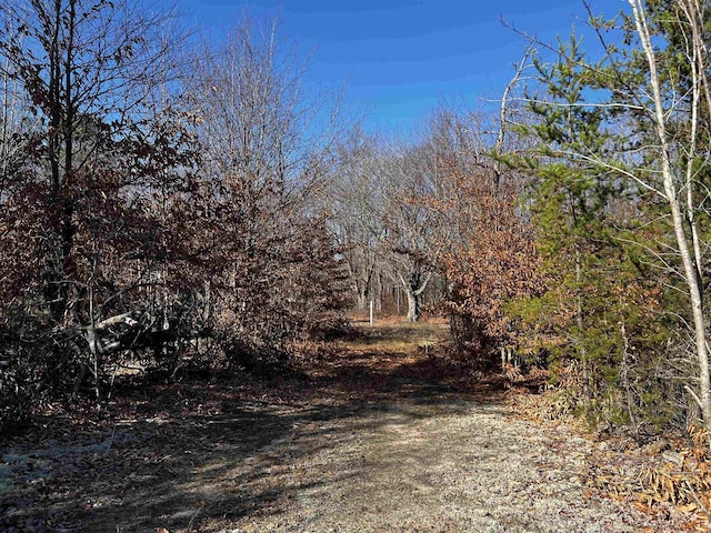 County Line Rd, Mancelona, MI 49659