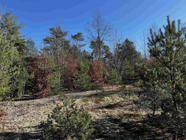 County Line Rd, Mancelona, MI 49659