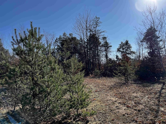 County Line Rd, Mancelona, MI 49659