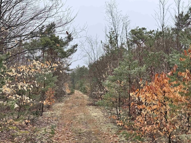 County Line Rd, Mancelona, MI 49659