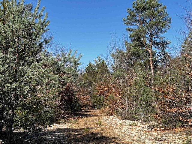 County Line Rd, Mancelona, MI 49659