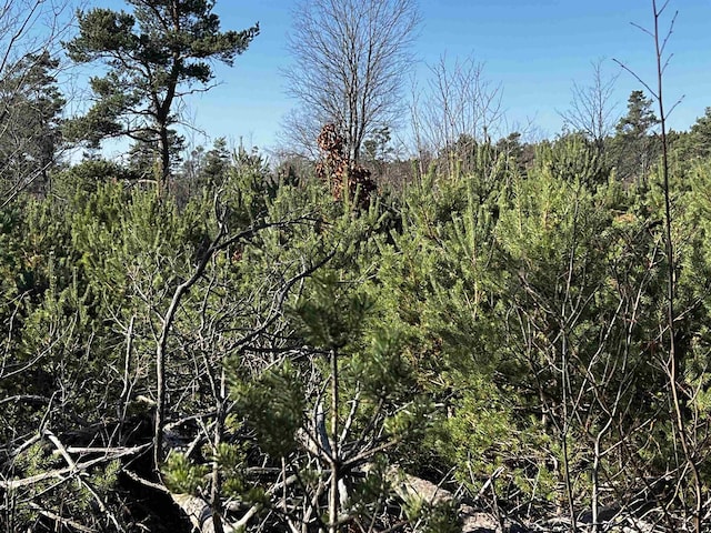 County Line Rd, Mancelona, MI 49659