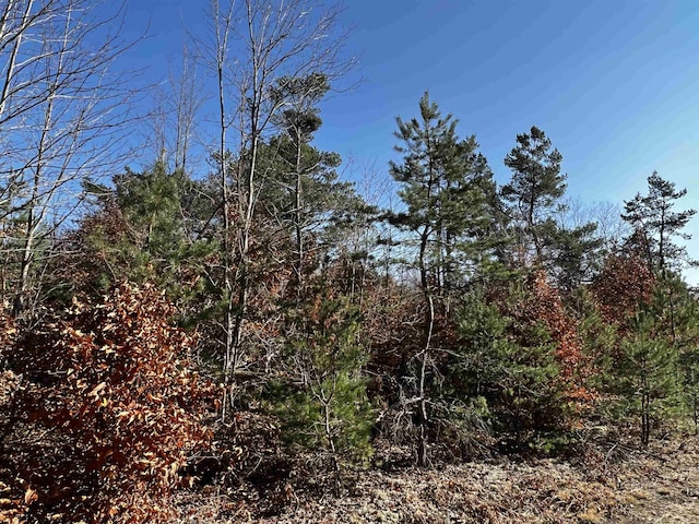 County Line Rd, Mancelona, MI 49659