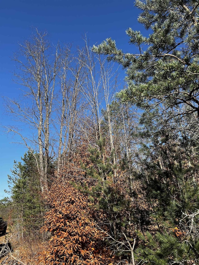 County Line Rd, Mancelona, MI 49659