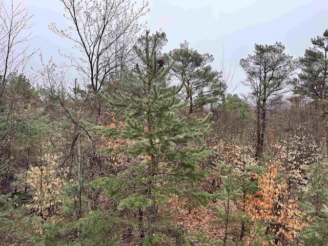 County Line Rd, Mancelona, MI 49659