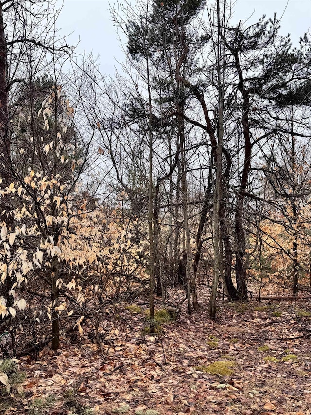 County Line Rd, Mancelona, MI 49659