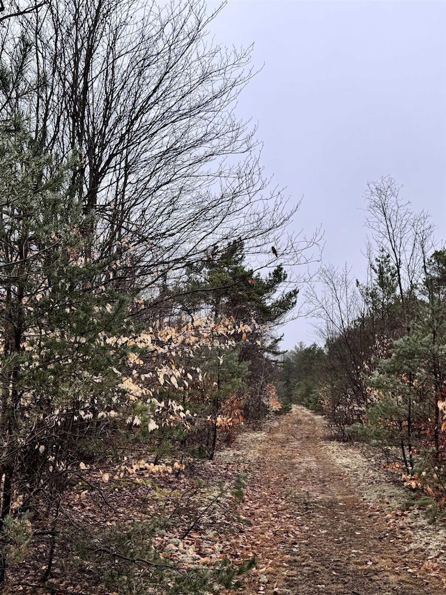 County Line Rd, Mancelona, MI 49659