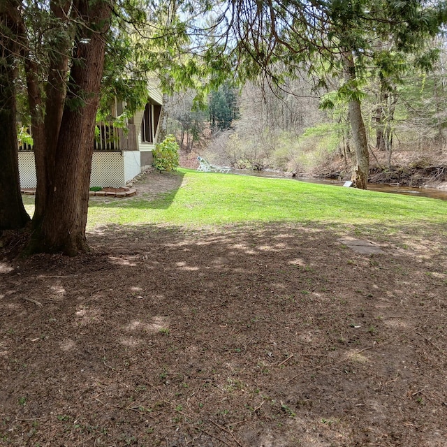 view of yard