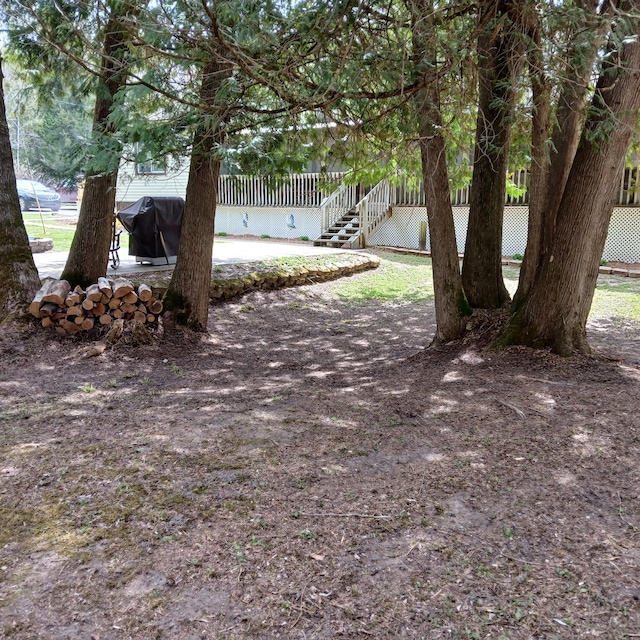 view of yard with a patio