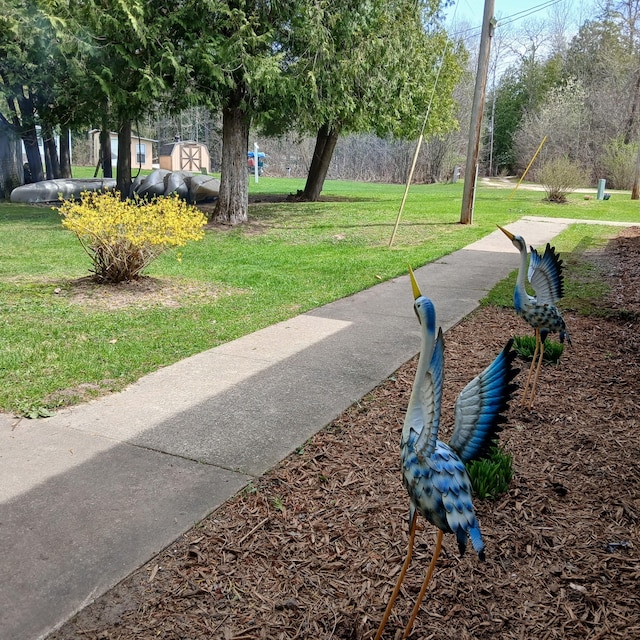 view of property's community with a yard
