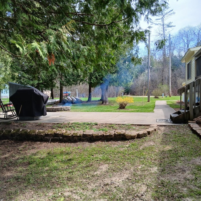 view of yard