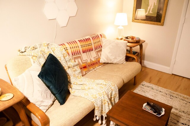 1514 Golden Ave, Ann Arbor, MI 48104 - bedroom featuring baseboards and wood finished floors