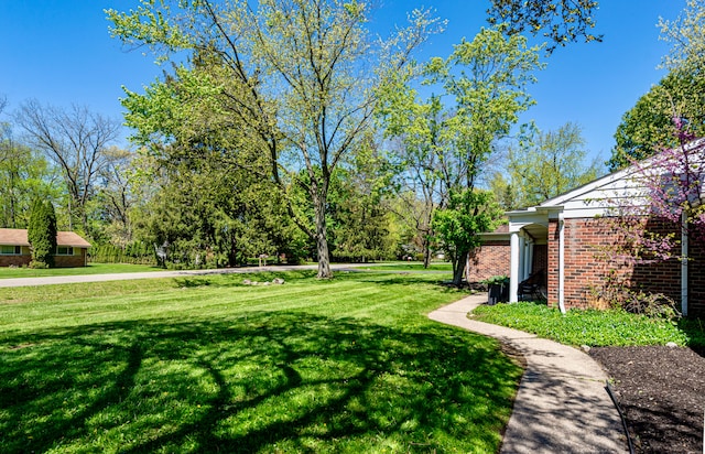 view of grassy yard