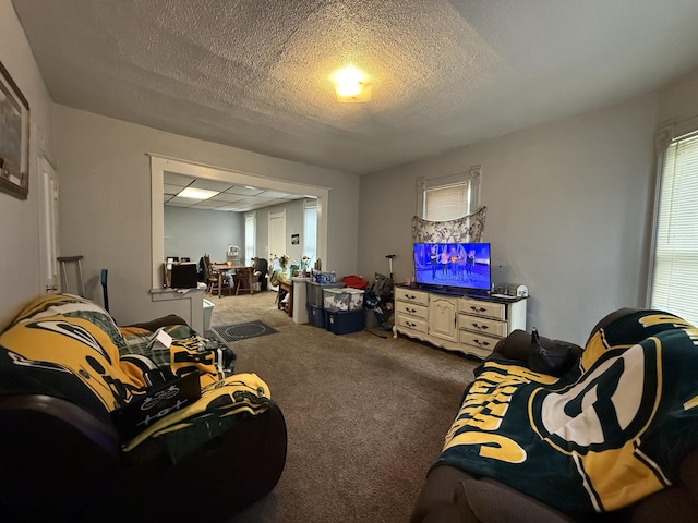 living room featuring carpet floors and a textured ceiling