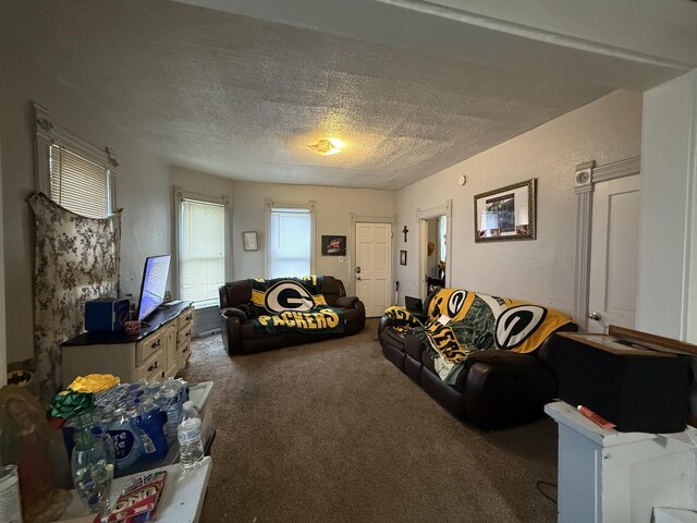 living room featuring carpet floors and a textured ceiling