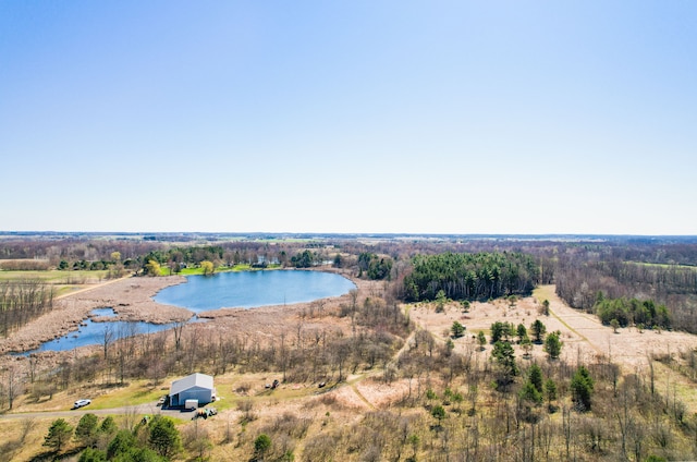 1652 Murphy Lake Rd, Silverwood, MI 48760