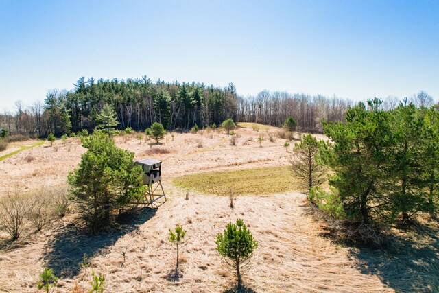 1652 Murphy Lake Rd, Silverwood, MI 48760