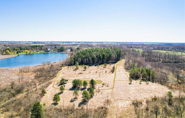 1652 Murphy Lake Rd, Silverwood, MI 48760