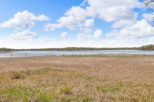 146 Bloomfield Blvd, Brooklyn, MI 49230 - view of water feature