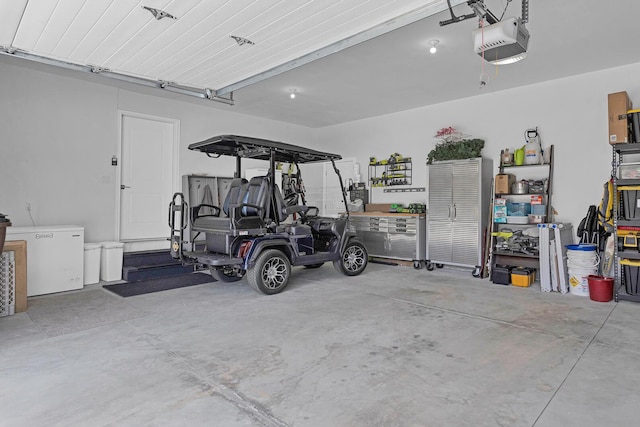 146 Bloomfield Blvd, Brooklyn, MI 49230 - garage featuring a garage door opener and fridge