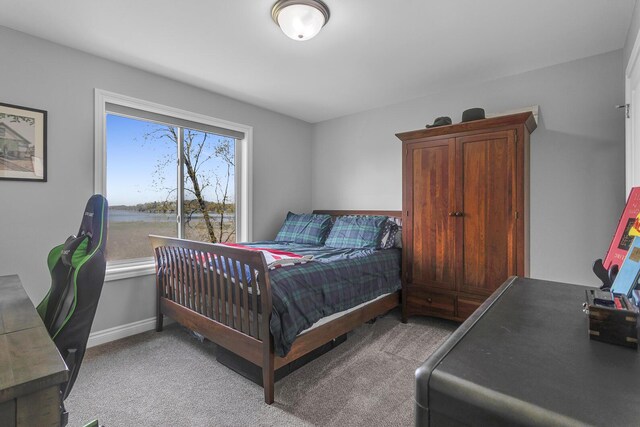 146 Bloomfield Blvd, Brooklyn, MI 49230 - bedroom featuring baseboards and carpet flooring