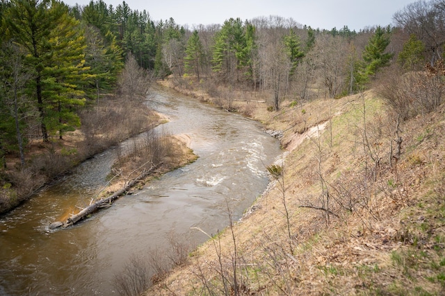 property view of water featuring a view of trees