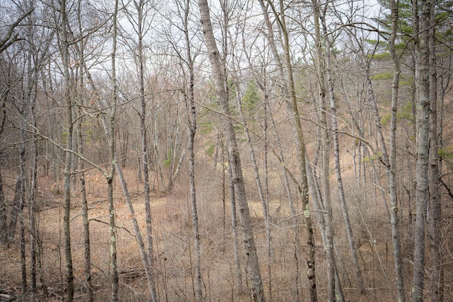 view of landscape with a forest view