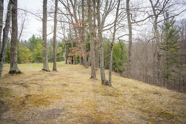 view of landscape featuring a view of trees