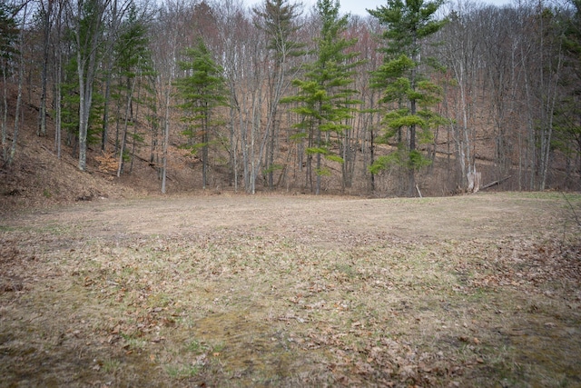 view of nature with a wooded view