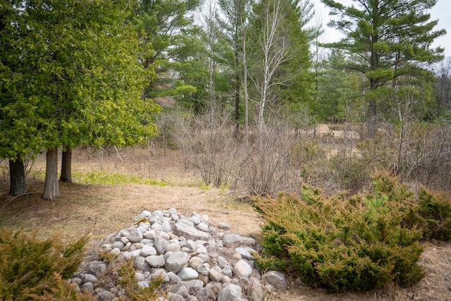 view of nature