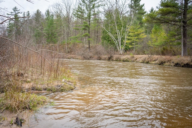 property view of water featuring a view of trees