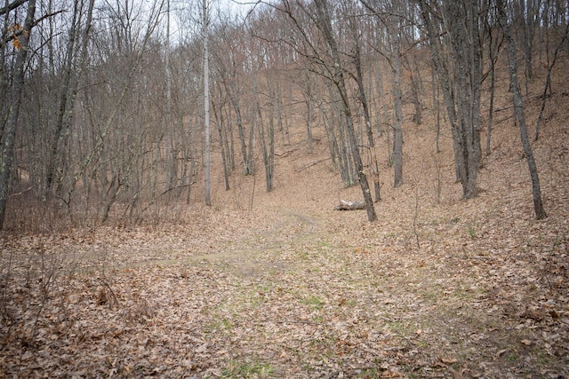 view of nature featuring a wooded view