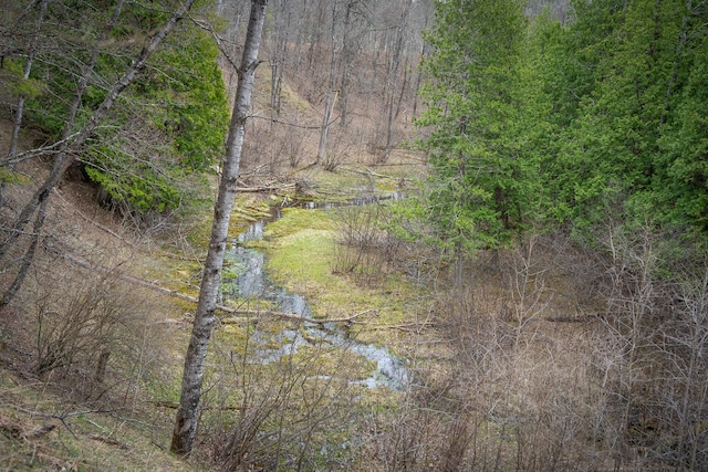 view of nature featuring a wooded view