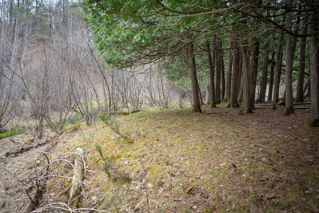 view of local wilderness featuring a view of trees