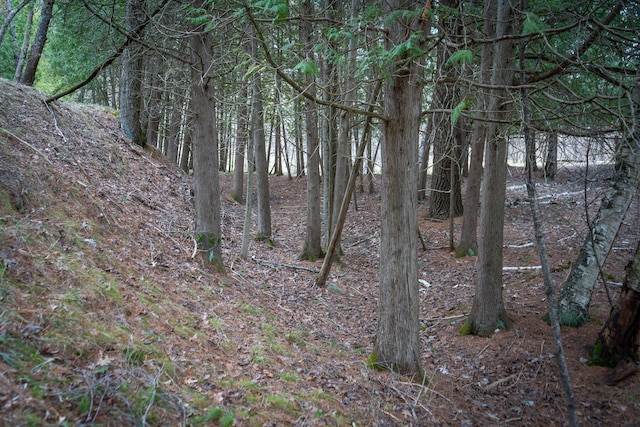 view of nature
