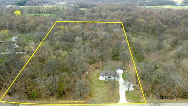 aerial view with a view of trees