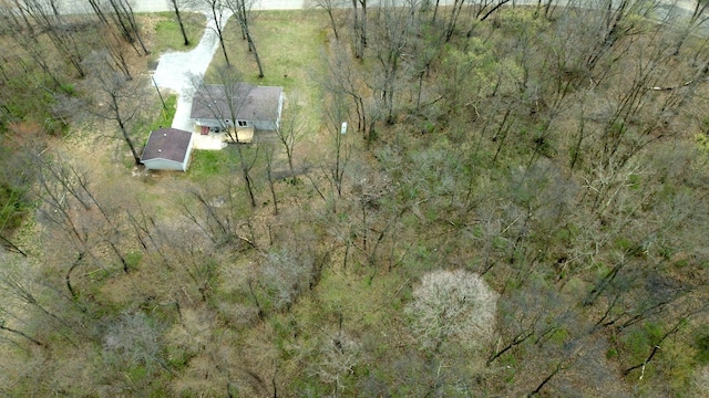 aerial view
