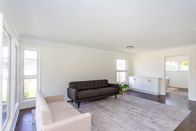 living area with dark wood-style flooring and baseboards