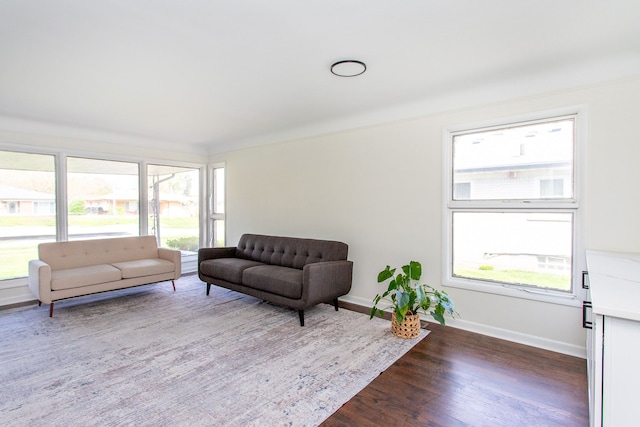 living room with a healthy amount of sunlight, baseboards, and wood finished floors