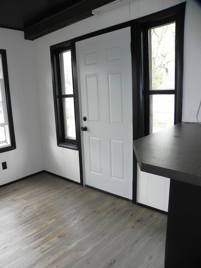 entrance foyer featuring wood finished floors