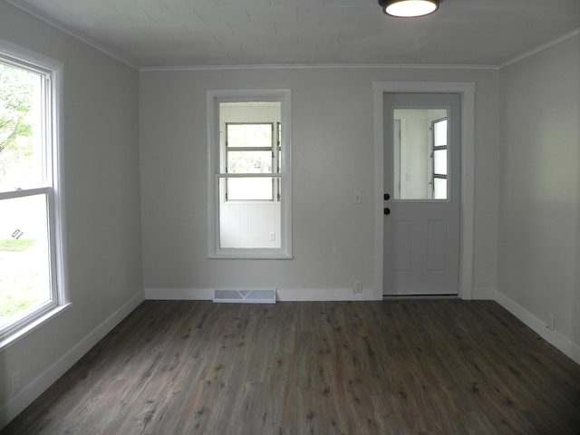 empty room with crown molding and a wealth of natural light