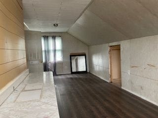 additional living space with lofted ceiling and wood finished floors