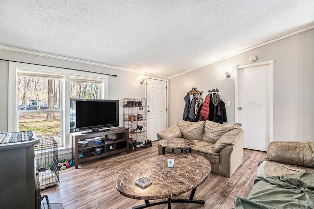living room featuring crown molding, a textured ceiling, and wood finished floors